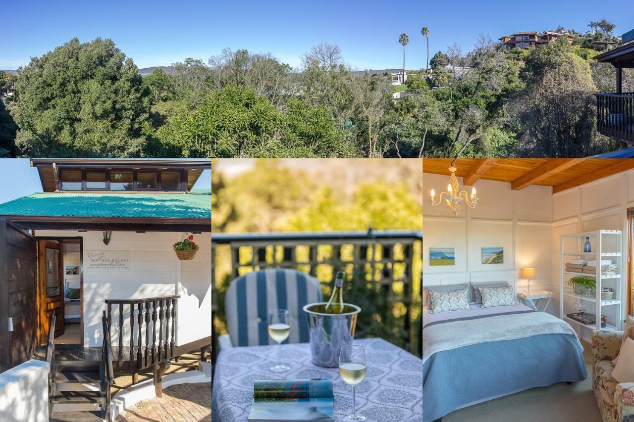 Knysna Escape Accommodation Zewnętrze zdjęcie